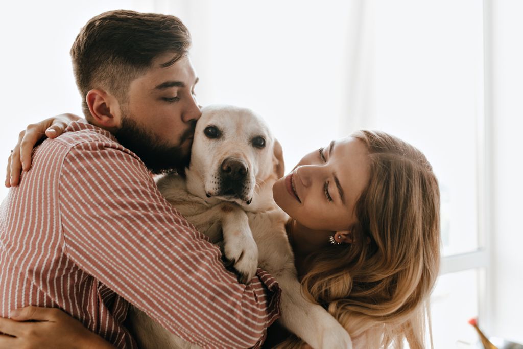 La importancia de esterilizar a tu mascota