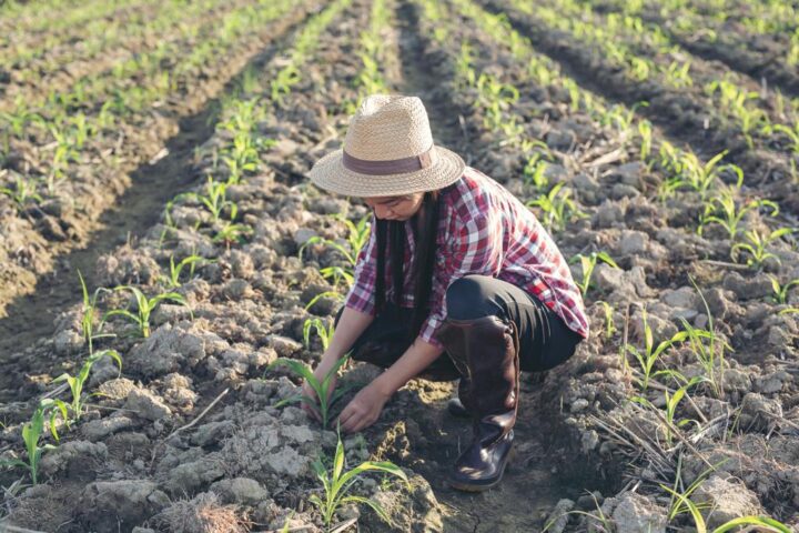 Día Internacional de las Mujeres Rurales
