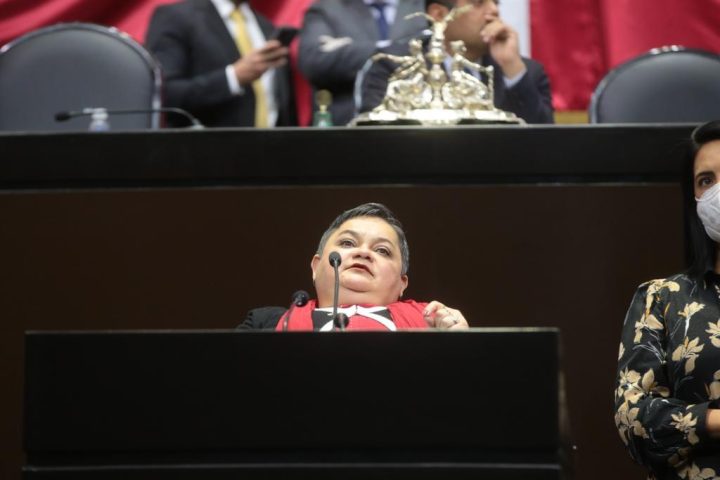 Diputados aprueban iniciativa de la priista Norma Aceves en favor de la movilidad de personas con discapacidad
