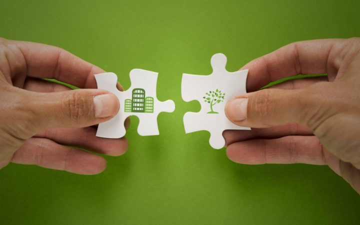 Negocios ecofriendly